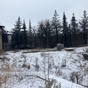 Polar Bear Odyssey - Exhibit #1