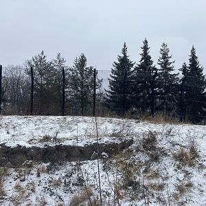 Polar Bear Odyssey - Exhibit #1