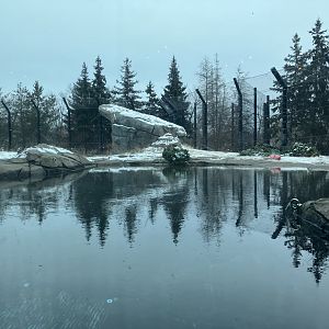 Polar Bear Odyssey - Exhibit #1