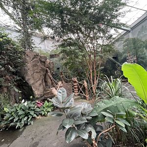 Walk-Through Aviary