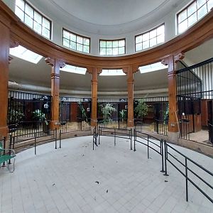 Antelope House - Okapi section