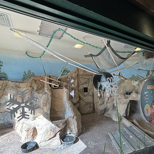 New Aardvark Exhibit Renovations