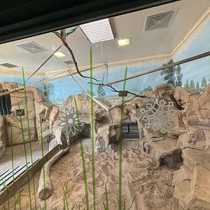 New Aardvark Exhibit Renovations