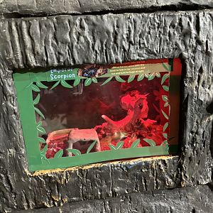 New Terrarium Lining Example