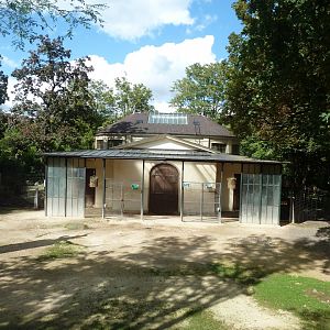 Antelope House - Kordofan giraffe enclosure