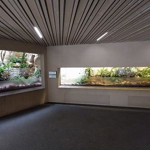 Tembea enclosure - Exhibit for black-and-rufous elephant shrew