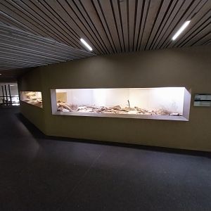 Tembea enclosure - Exhibit for harvester ants