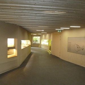 Tembea enclosure - Visitor area