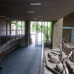 Tembea enclosure - Visitor area