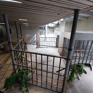 Tembea enclosure - Bull stable