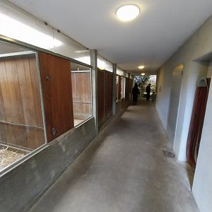Africa enclosure - Hippo house - visitor area