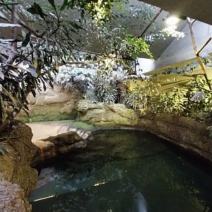 Africa enclosure - Hippo house - Hippo pool