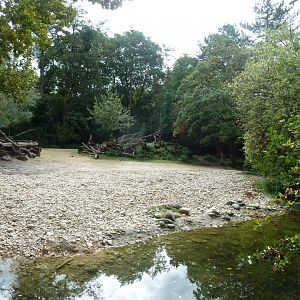 Somali wild ass enclosure