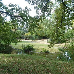 Sable antelope enclosure