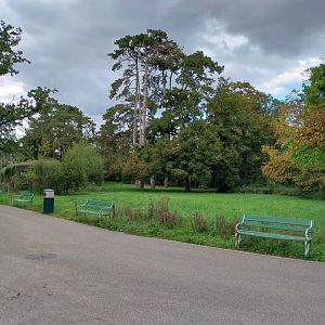 The very green mid section of the zoo