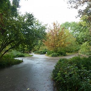 The very green mid section of the zoo