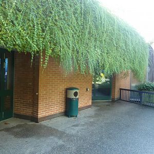 Vivarium - Reptile entrance