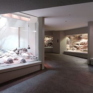 Vivarium - General view