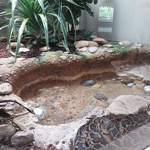 Vivarium - Burmese rock python enclosure