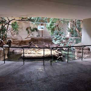 Vivarium - Australia enclosure