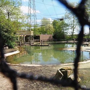 Humboldt penguin exhibit, 2023-04-30