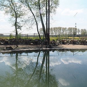 Humboldt penguin exhibit, 2023-04-30