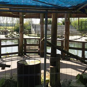 Humboldt penguin viewing area, 2023-04-30