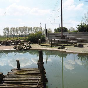 Humboldt penguin exhibit, 2023-04-30