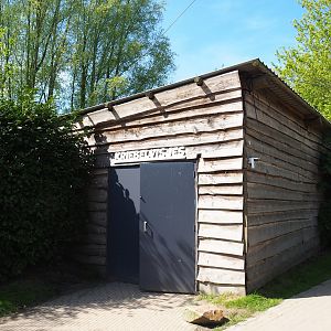 Doctor fish/Garra rufa fish building, 2023-04-30