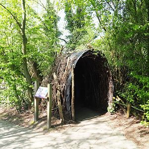 Beaver lodge viewing area, 2023-04-30