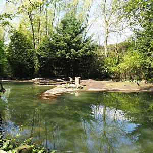 American beaver exhibit, 2023-04-30