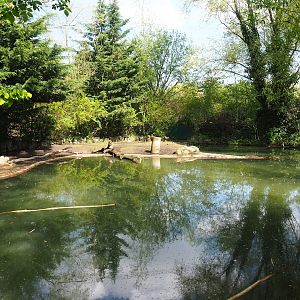American beaver exhibit, 2023-04-30