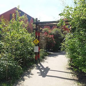 Road to Western chimpanzee indoor viewing areas, 2023-04-30