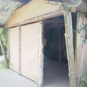 Western chimpanzee indoor viewing area, 2023-04-30