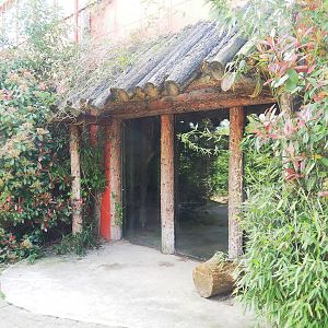 Western chimpanzee indoor viewing area, 2023-04-30