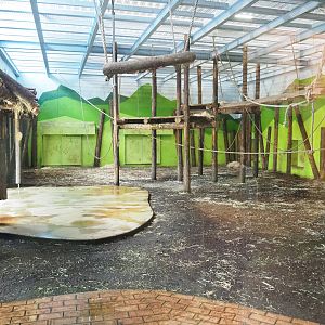 Western chimpanzee indoor housing, 2023-04-30
