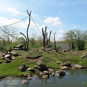 Barbary macaque island, 2023-04-30