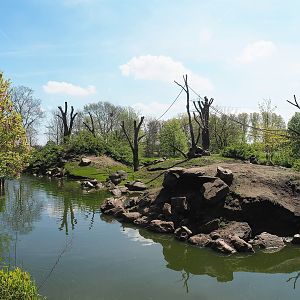 Barbary macaque island, 2023-04-30