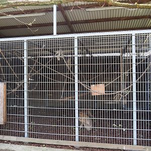 Barbary macaque holding cage, 2023-04-30