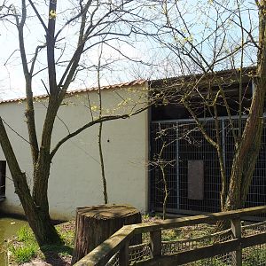 Barbary macaque holding building and cage, 2023-04-30