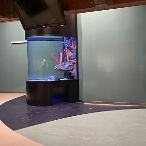 Former Seal/Sea Lion Indoor Exhibit