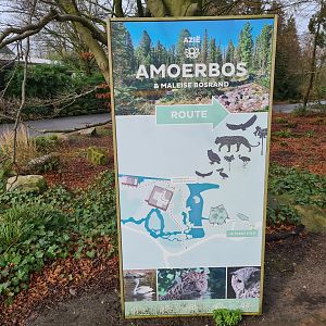 Asia - Minimap of Amur forest and Malay forest edge