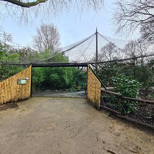 Asia - Amur leopard enclosure
