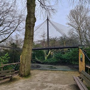 Asia - Amur leopard enclosure