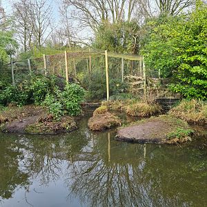 Asia - View of fishing cat enclosure from Amur area
