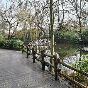 Asia - Amur Lake boardwalk