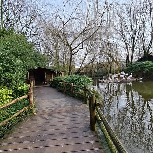 Asia - boardwalk and viewing hut in Amur lake