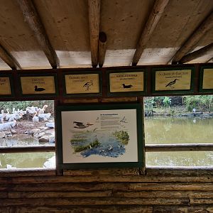Asia - Viewing hut and bird signage in Amur lake