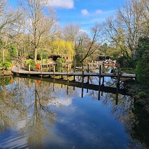 Asia - Work on Amur lake boardwalk