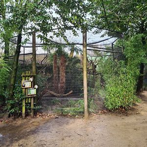 Asia - Aviary in Malaysian forest edge